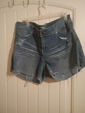 High-Rise Distressed Denim Shorts in Blue